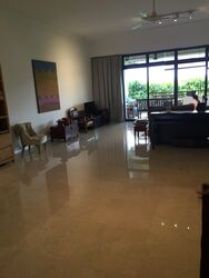 The Arcadia (D11), Condominium #301668421